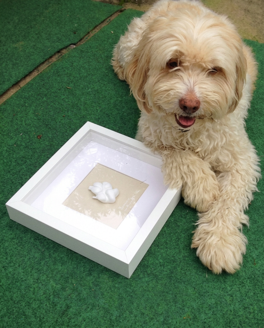Hund Sammy liegt stolz neben seinem fertigen Pfotenabdruck im Rahmen