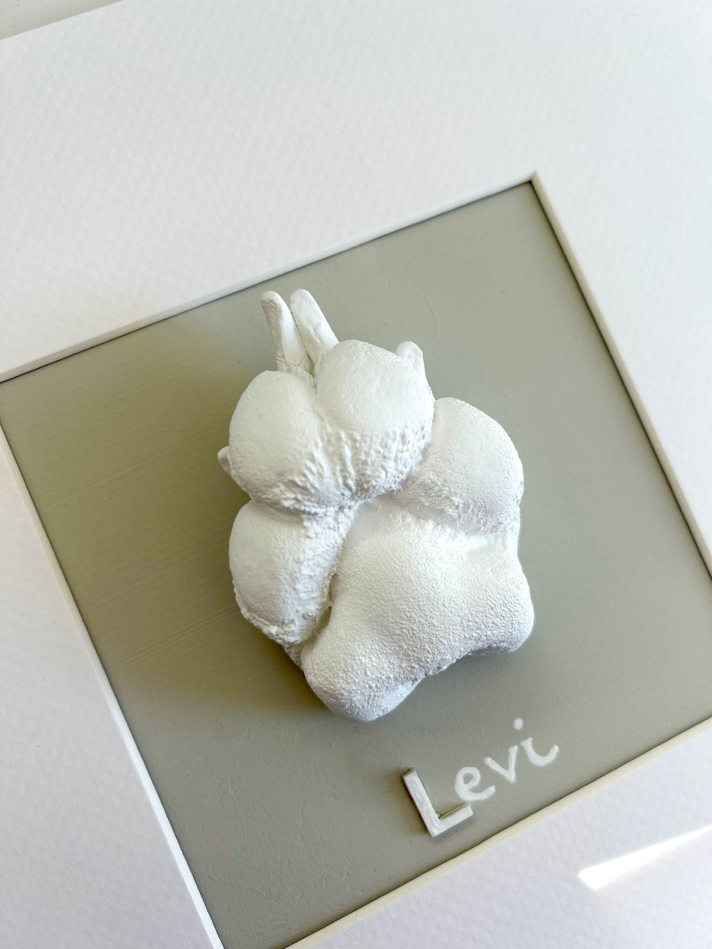 3D-Abdruck einer Hundepfote im Rahmen mit dem Namen Levi